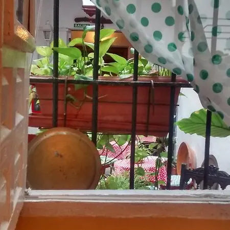 Bed & Breakfast Patio 19