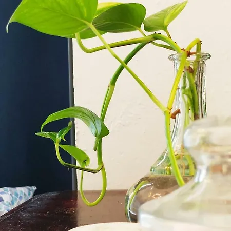 Patio 19 Bed & Breakfast