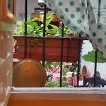 לינה וארוחת בוקר Patio 19