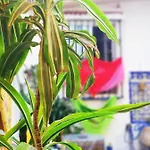 Patio 19 לינה וארוחת בוקר 2*